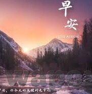 麻豆av免费版-流派之外，揭开网络欲望的模糊图谱
