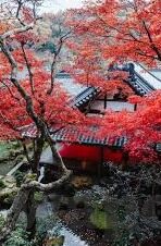 日韩欧美av视频-日韩欧美AV视频，文化、艺术与市场的新视角