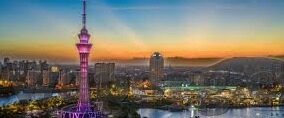 糖心app-探索社交平台的特色应用——以糖心app为例